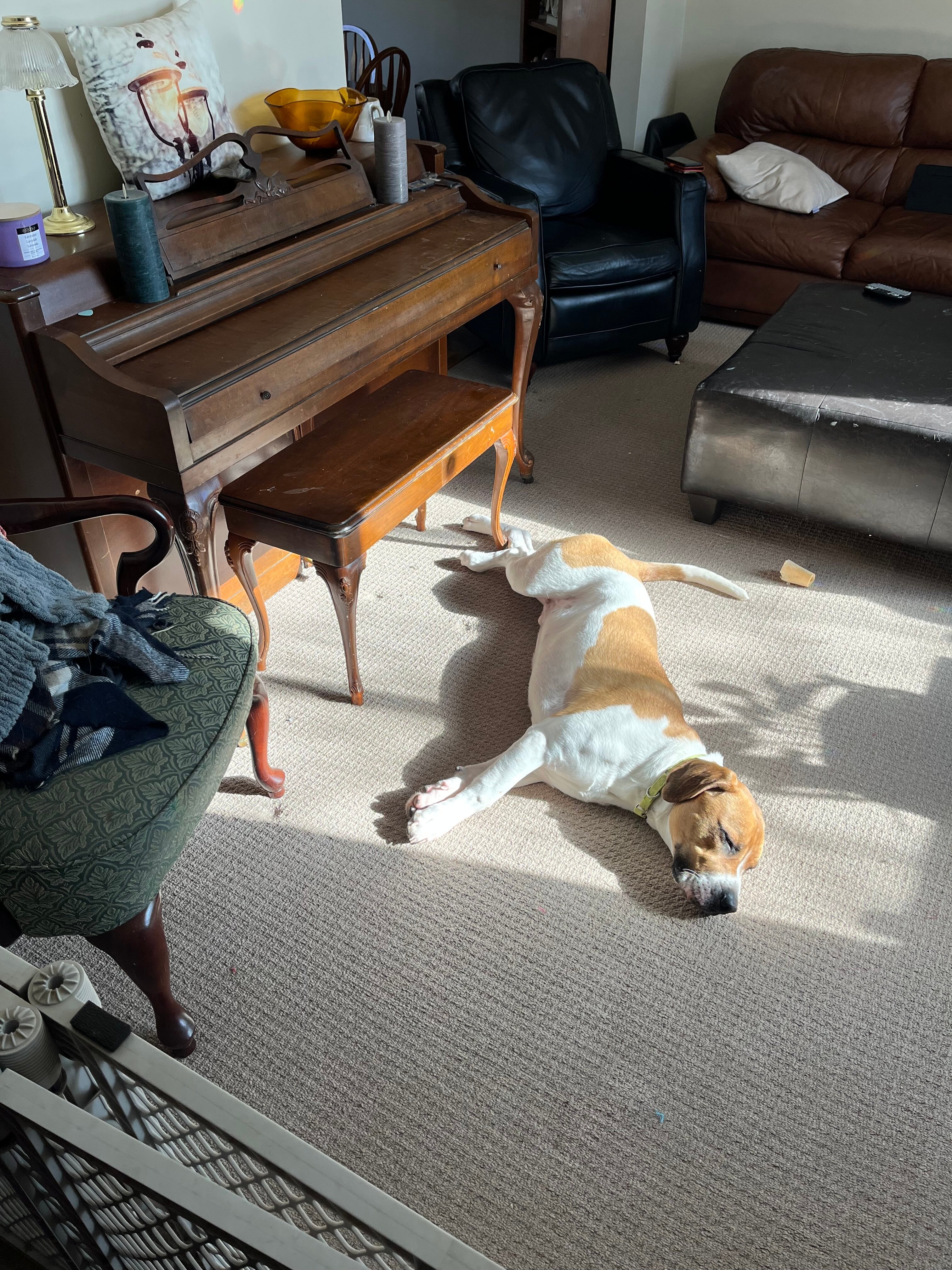 IMG_0403.jpeg