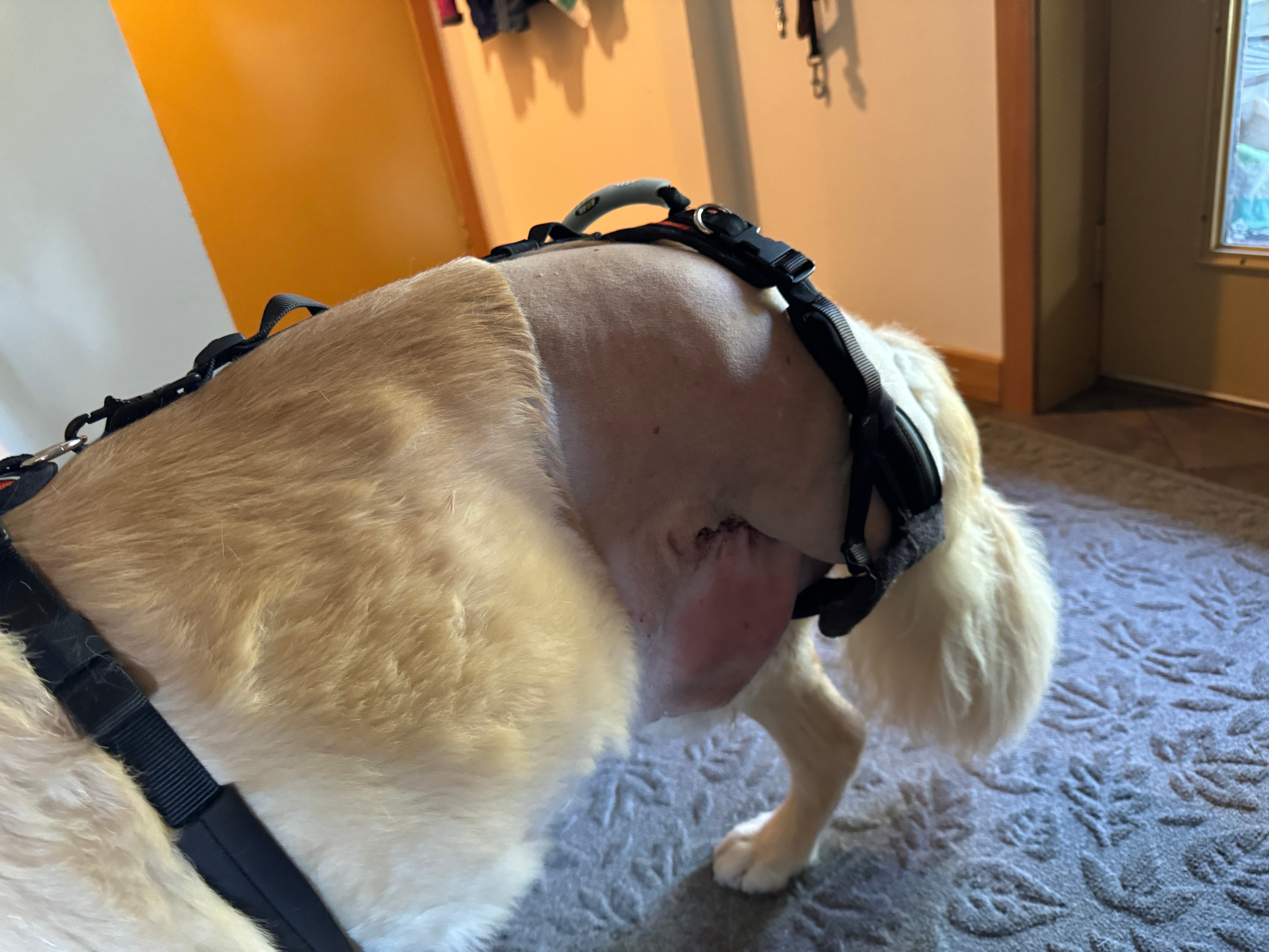 IMG_0404.jpeg