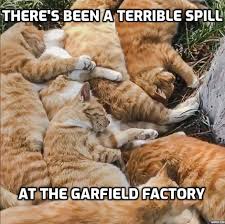 IMG_0435.jpeg