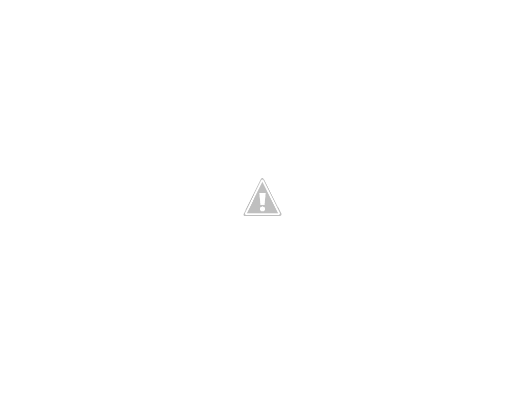 IMG_0451.png