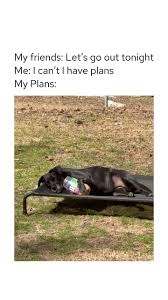 IMG_0456.jpeg