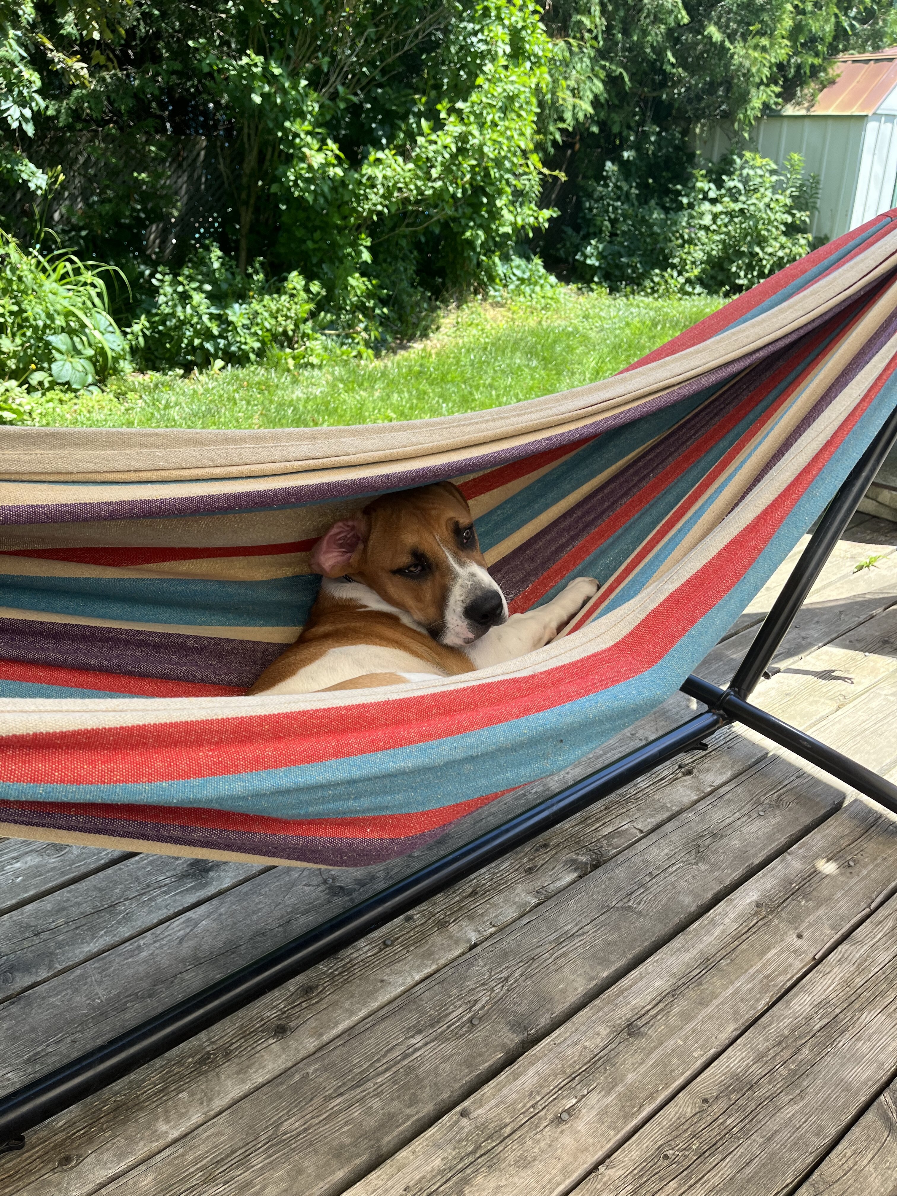 IMG_0463.jpeg