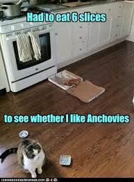 IMG_0472.jpeg