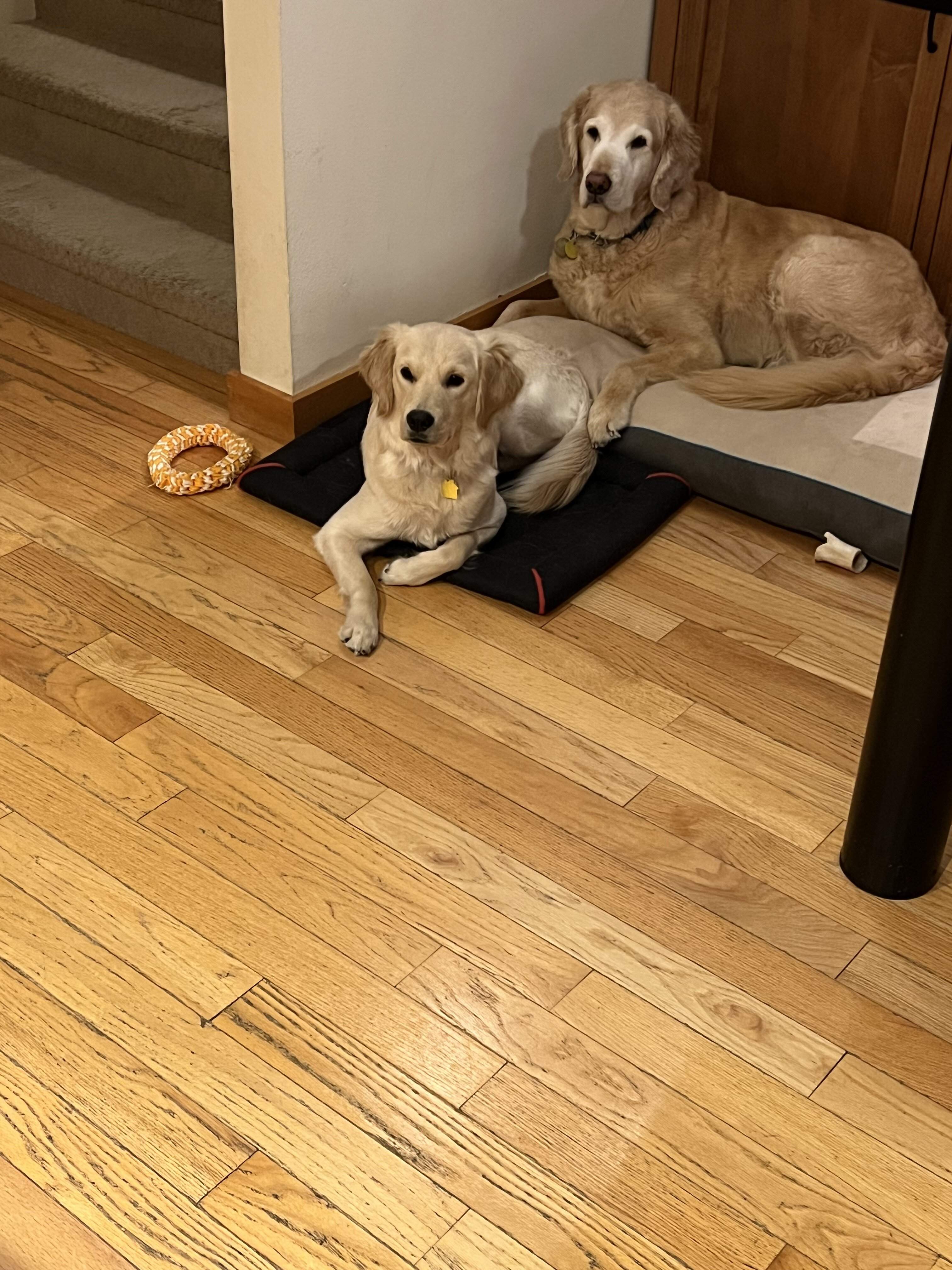 IMG_0481.jpeg