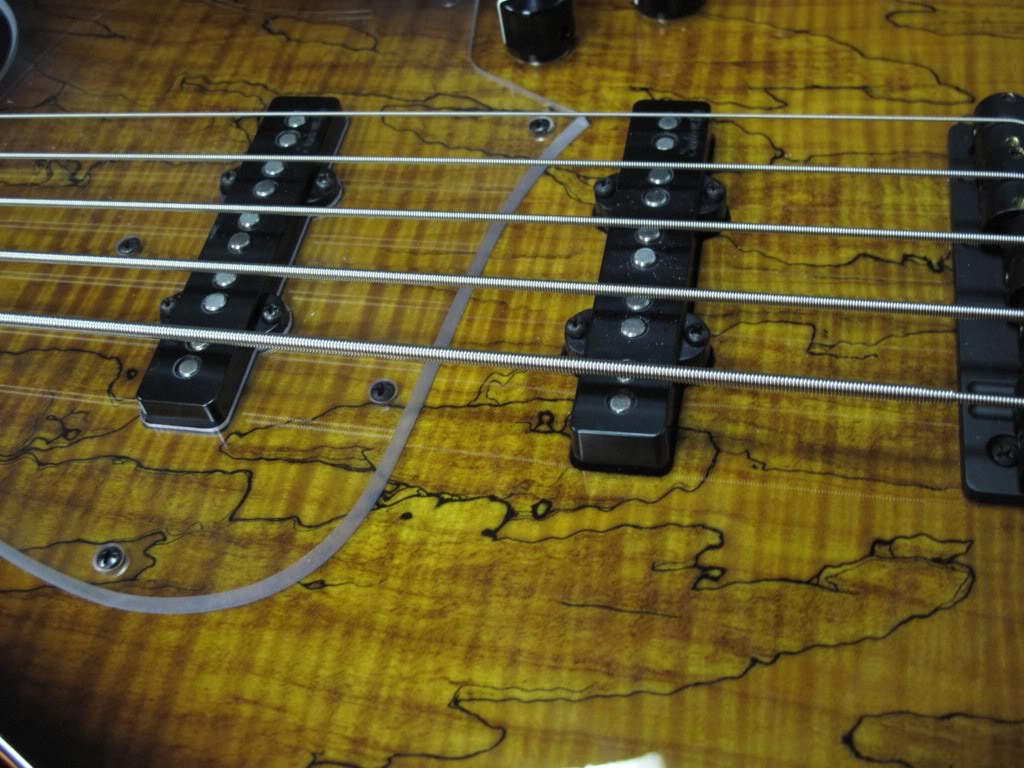 IMG_0482.jpg