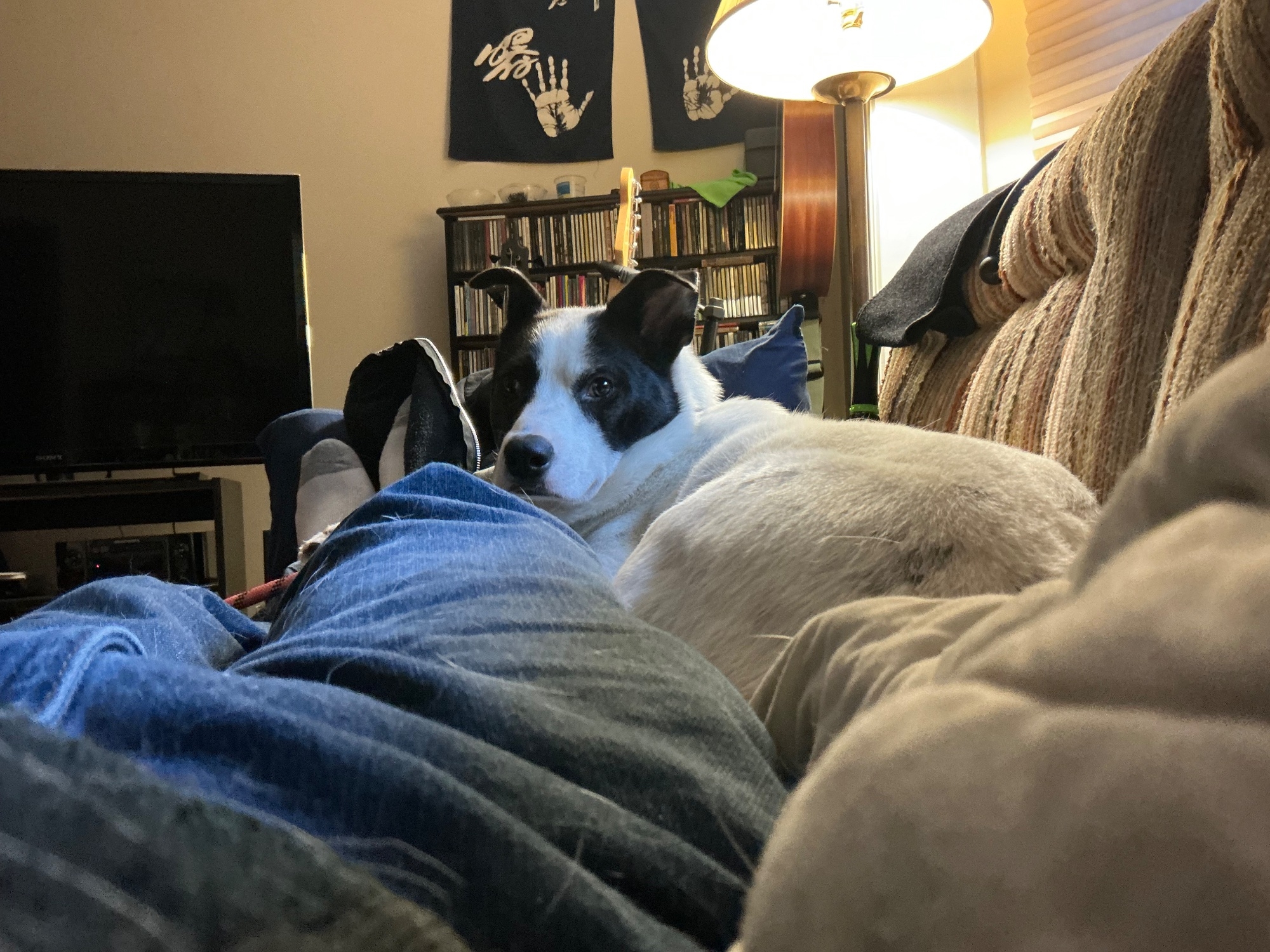 IMG_0483.jpeg