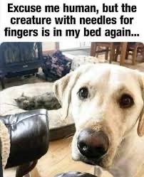 IMG_0497.jpeg