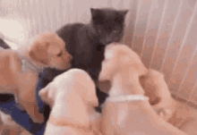 IMG_0502.gif