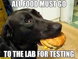 IMG_0513.jpeg