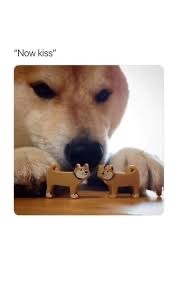 IMG_0534.jpeg
