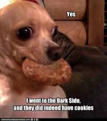 IMG_0542.jpeg