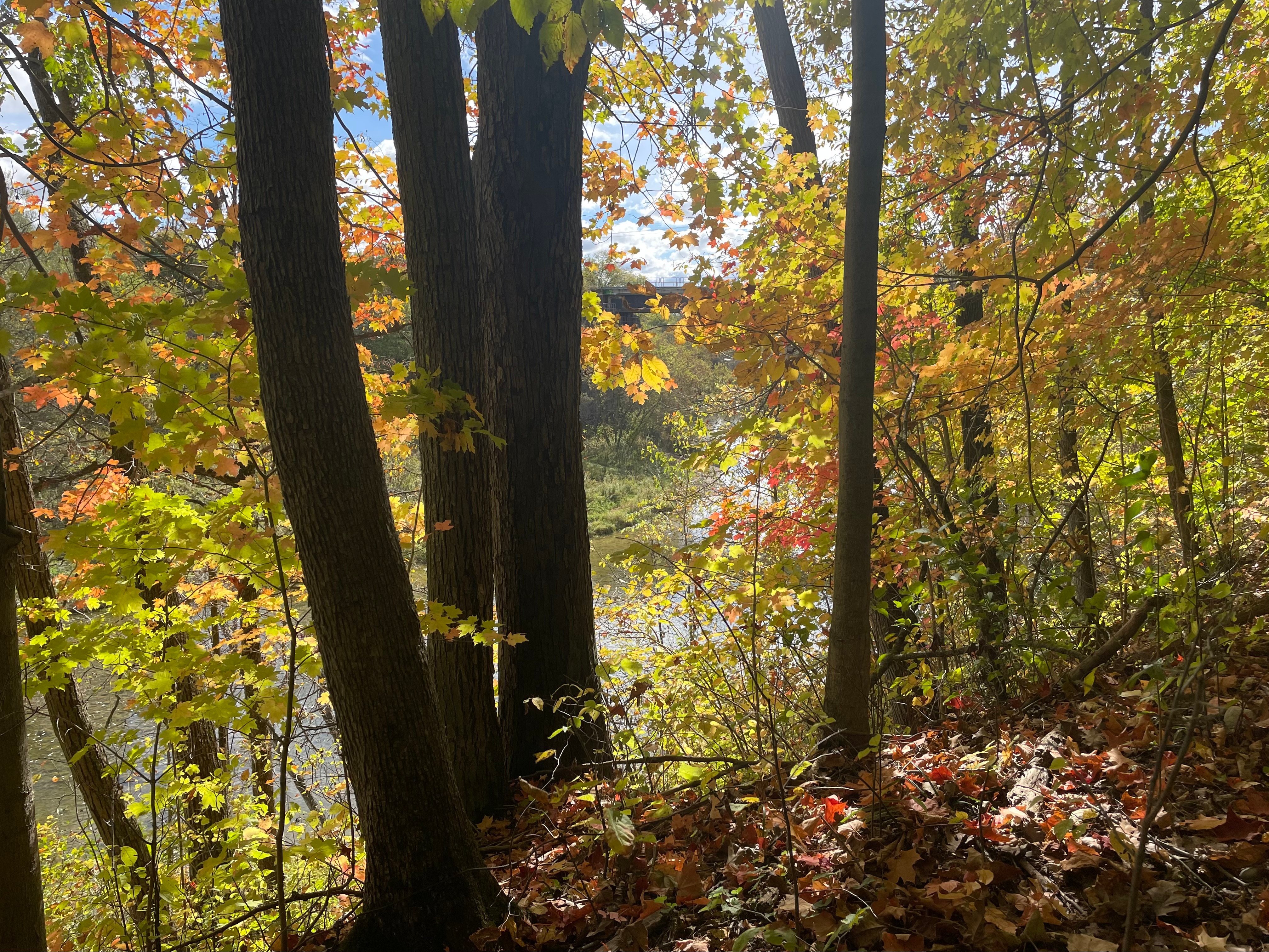 IMG_0578.jpeg