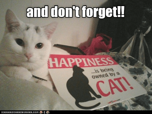 IMG_0587.png