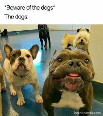 IMG_0599.jpeg