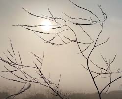 IMG_0604.jpeg