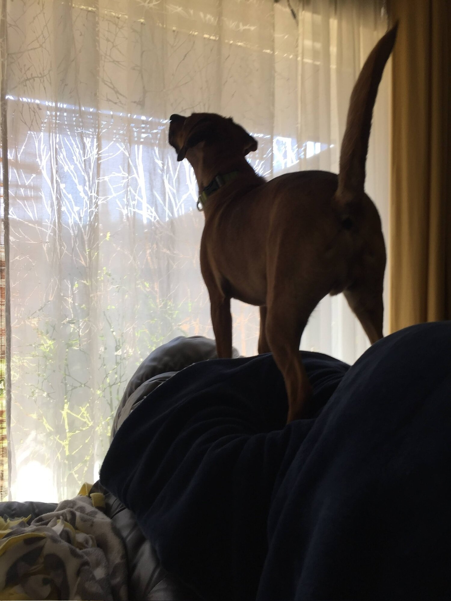 IMG_0615.jpeg