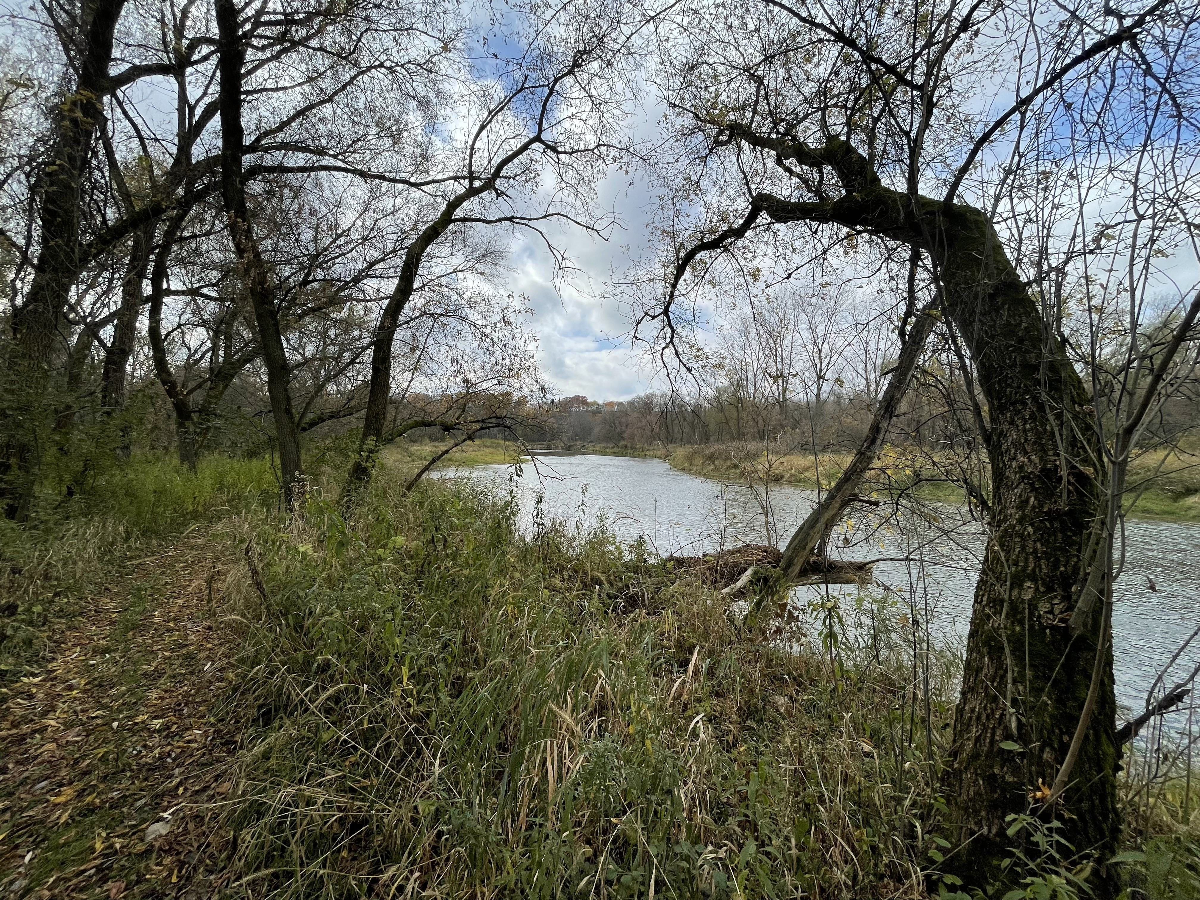 IMG_0628.jpeg