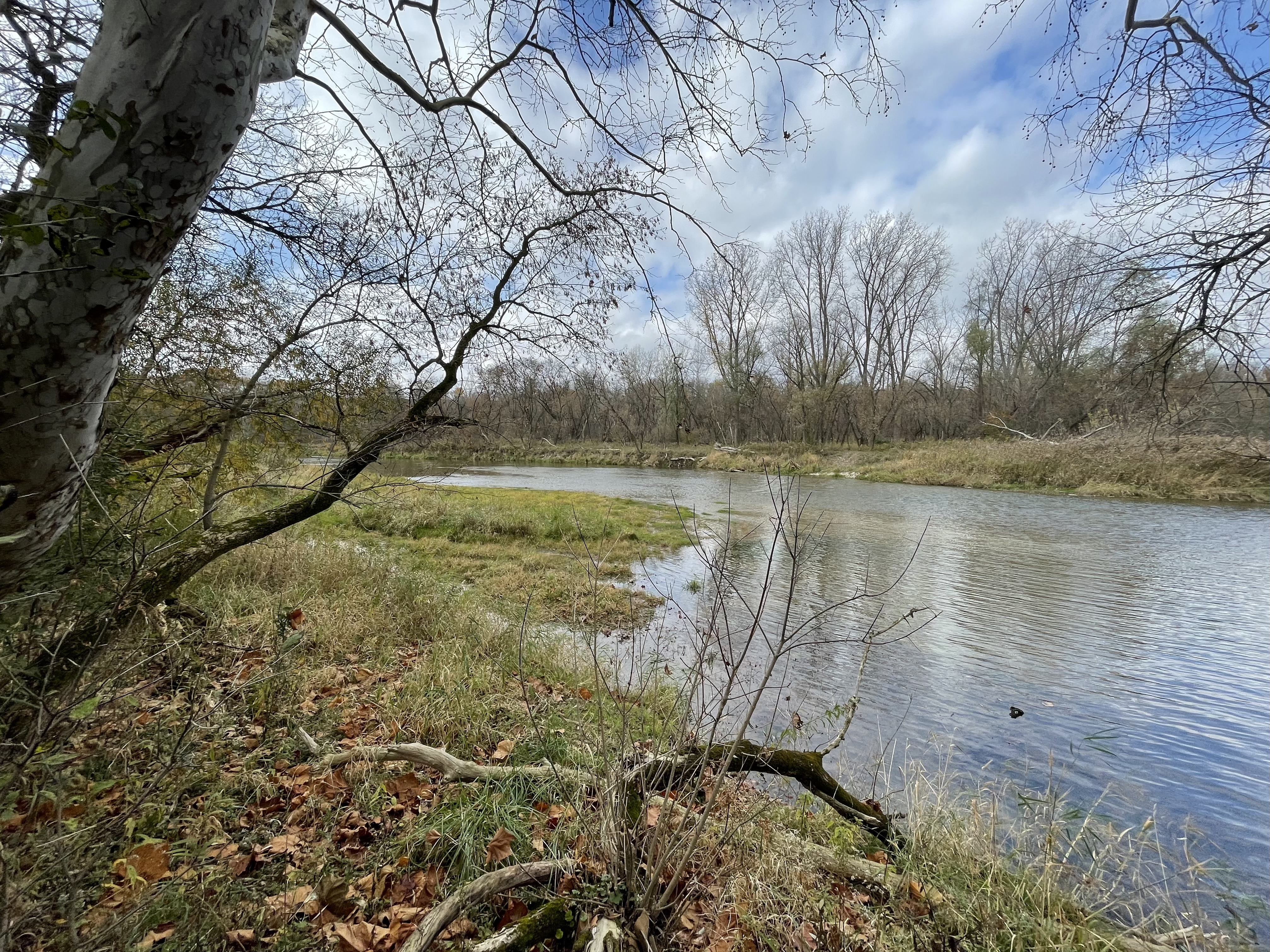 IMG_0630.jpeg