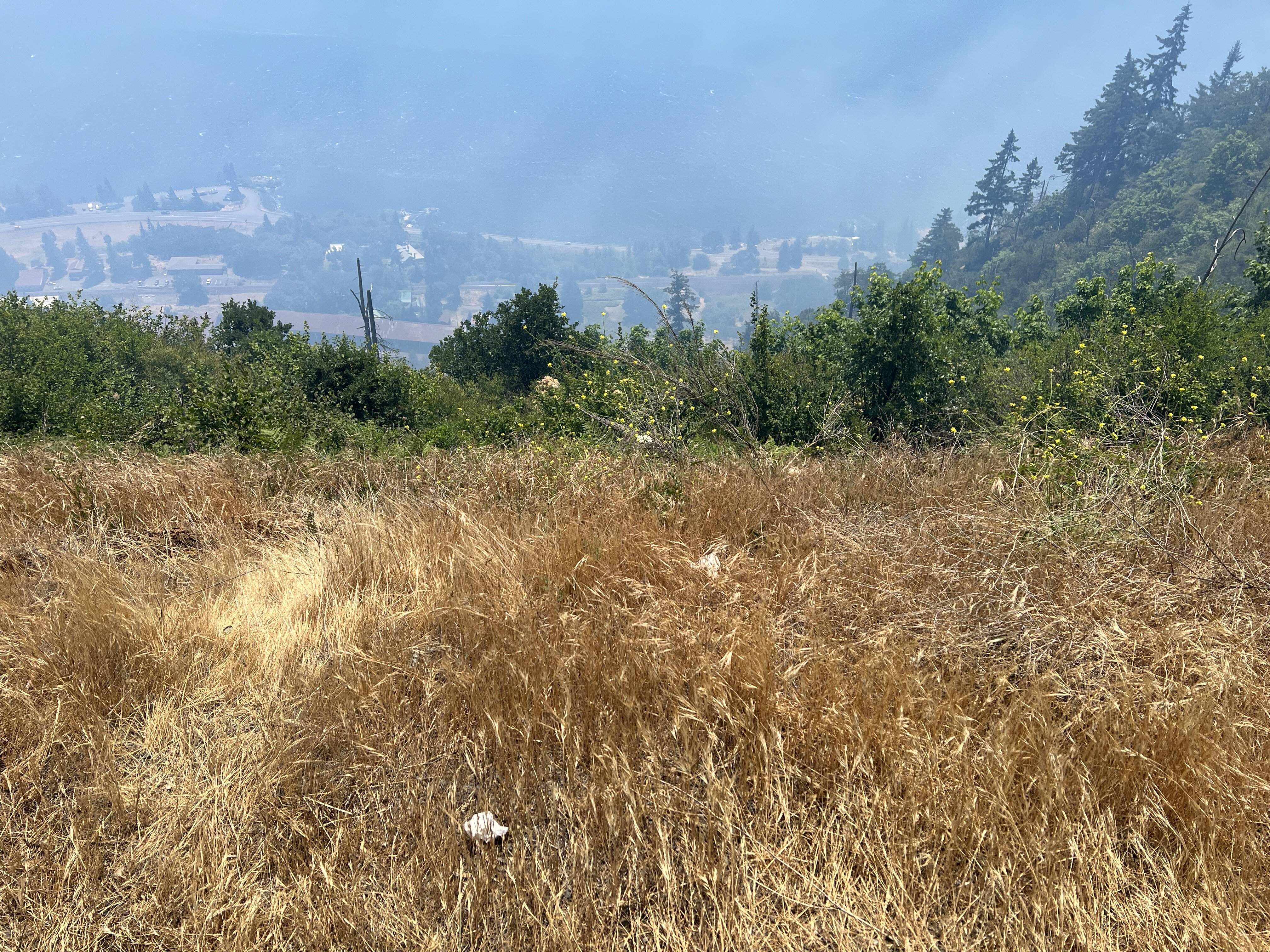 IMG_0641.jpeg