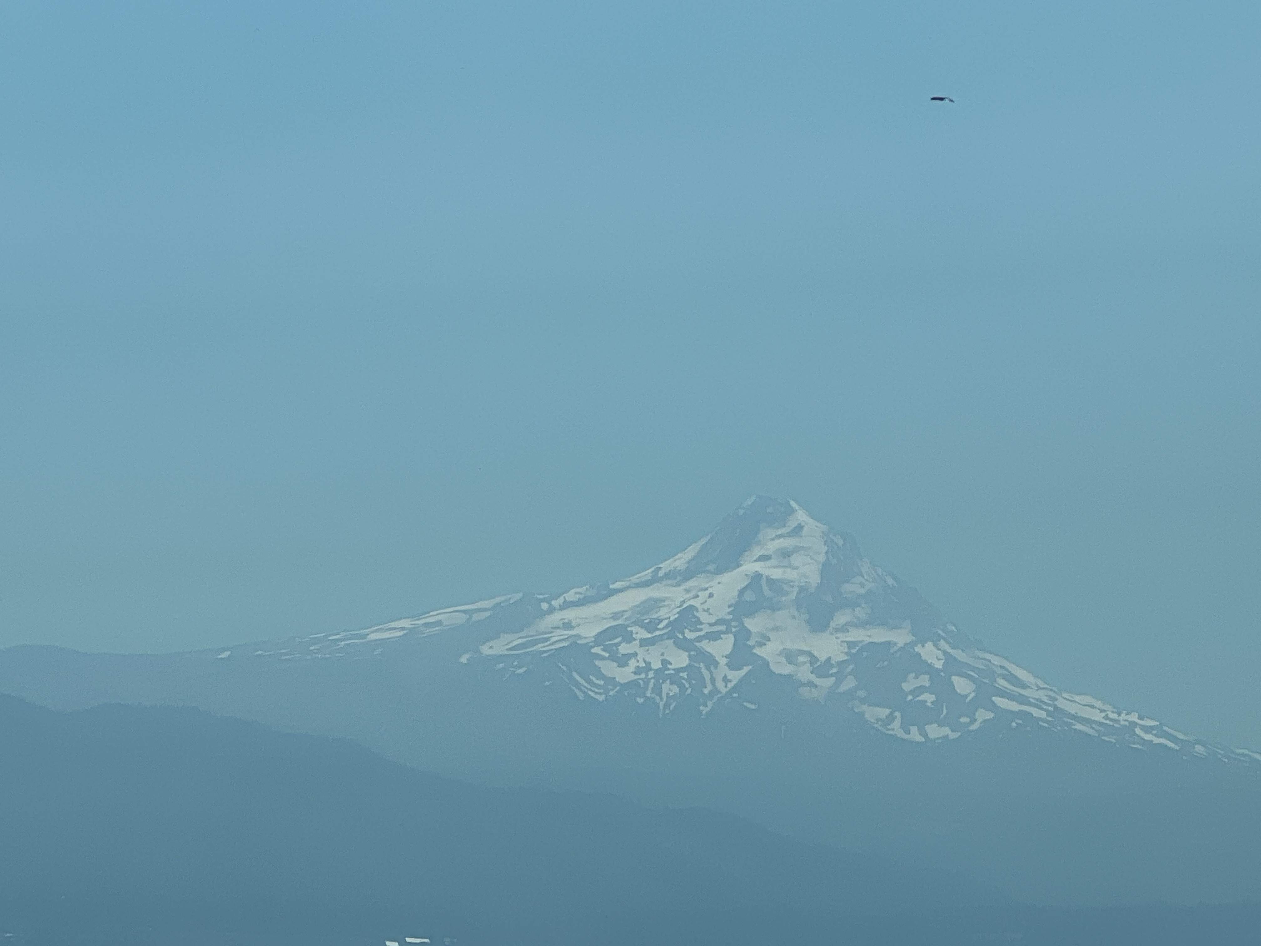IMG_0642.jpeg