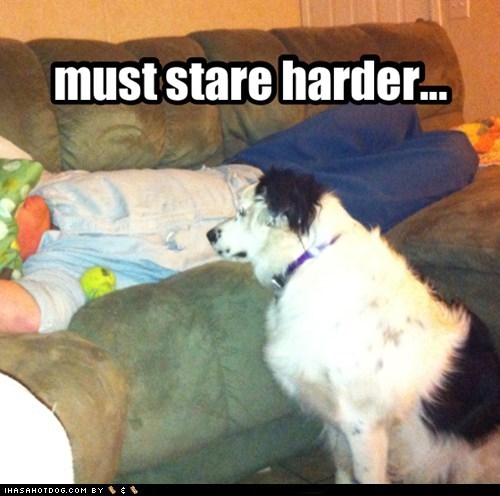IMG_0642.jpeg