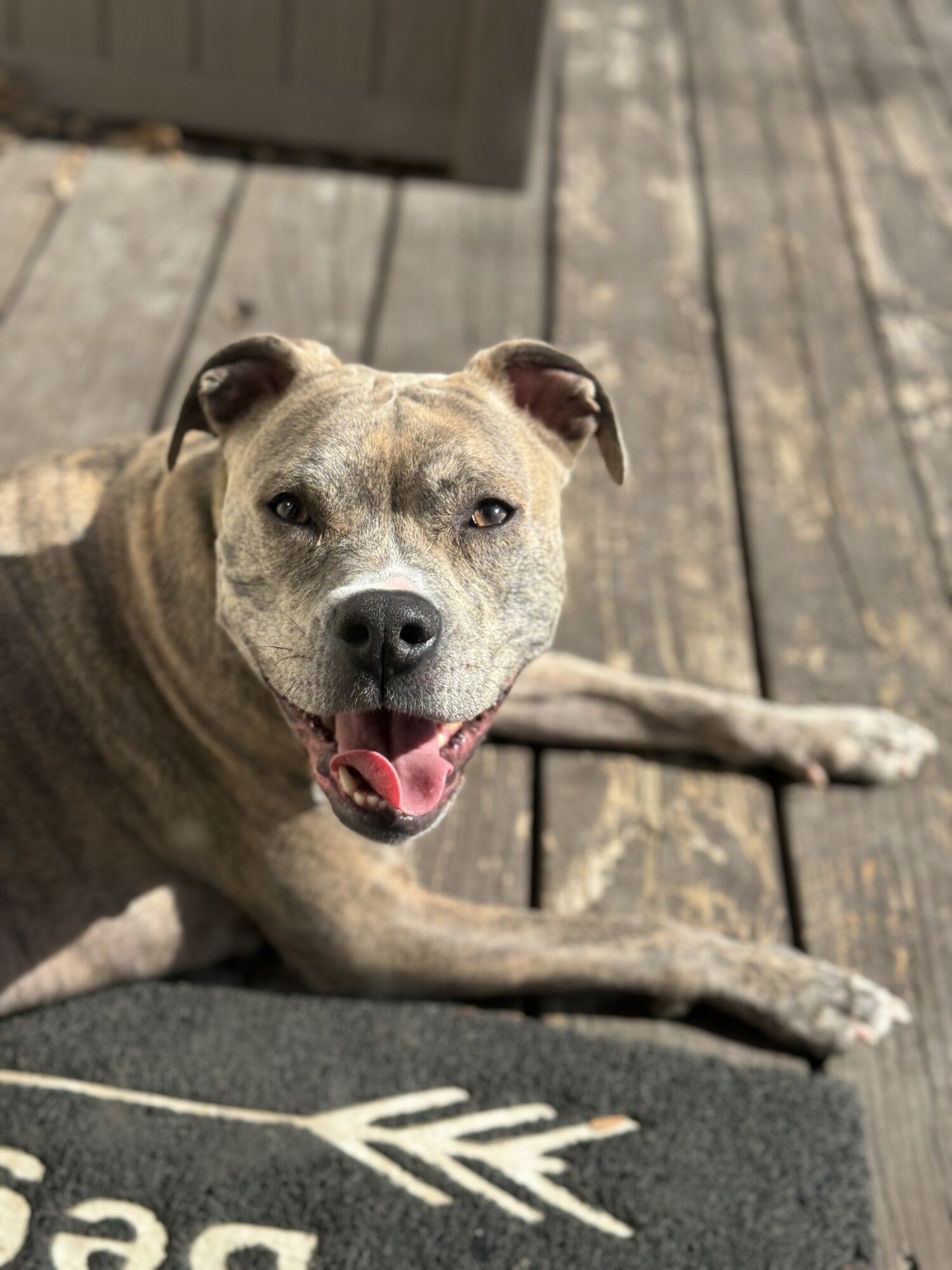 IMG_0652.jpg