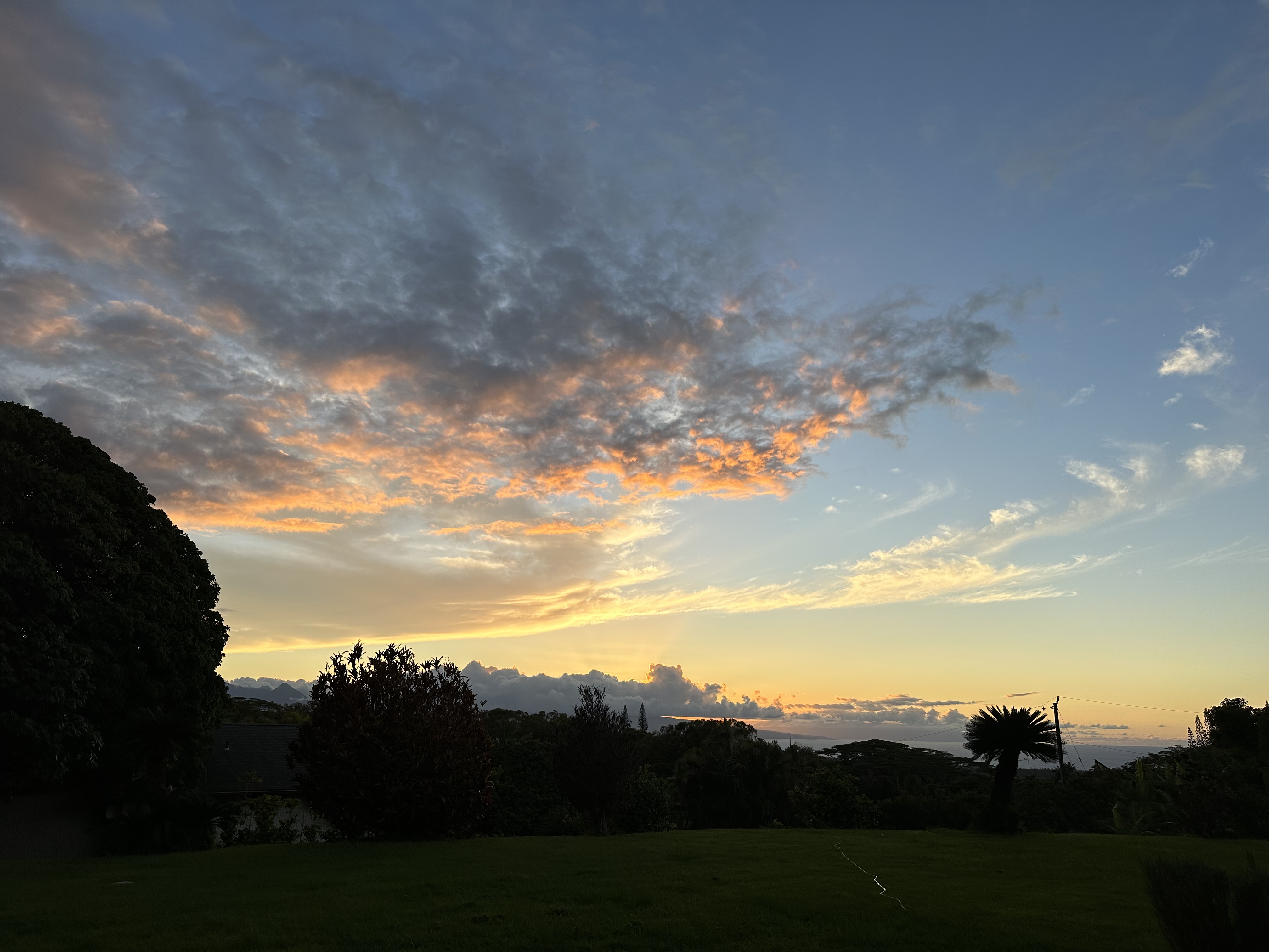IMG_0704.jpeg