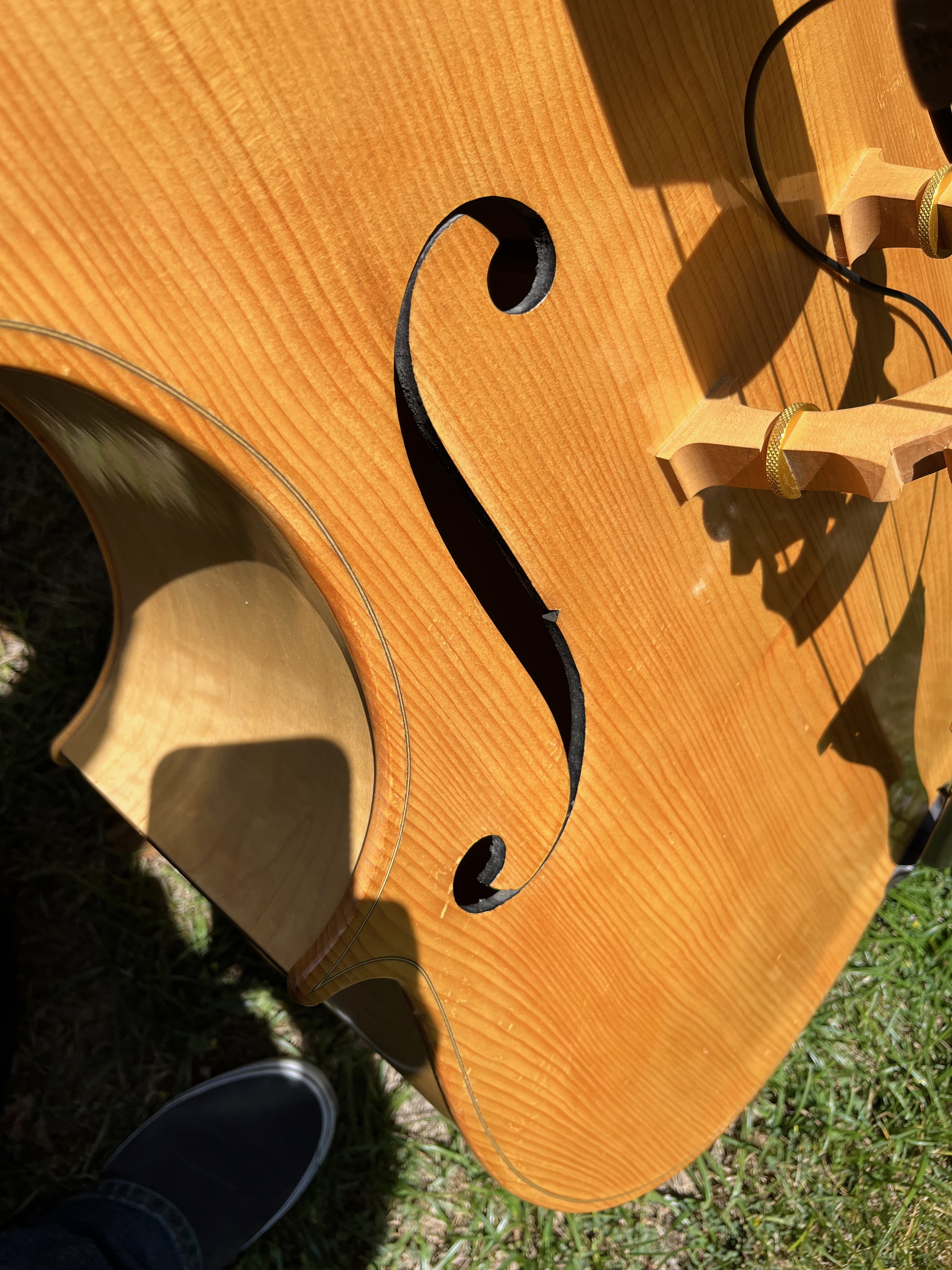 IMG_0713.jpeg