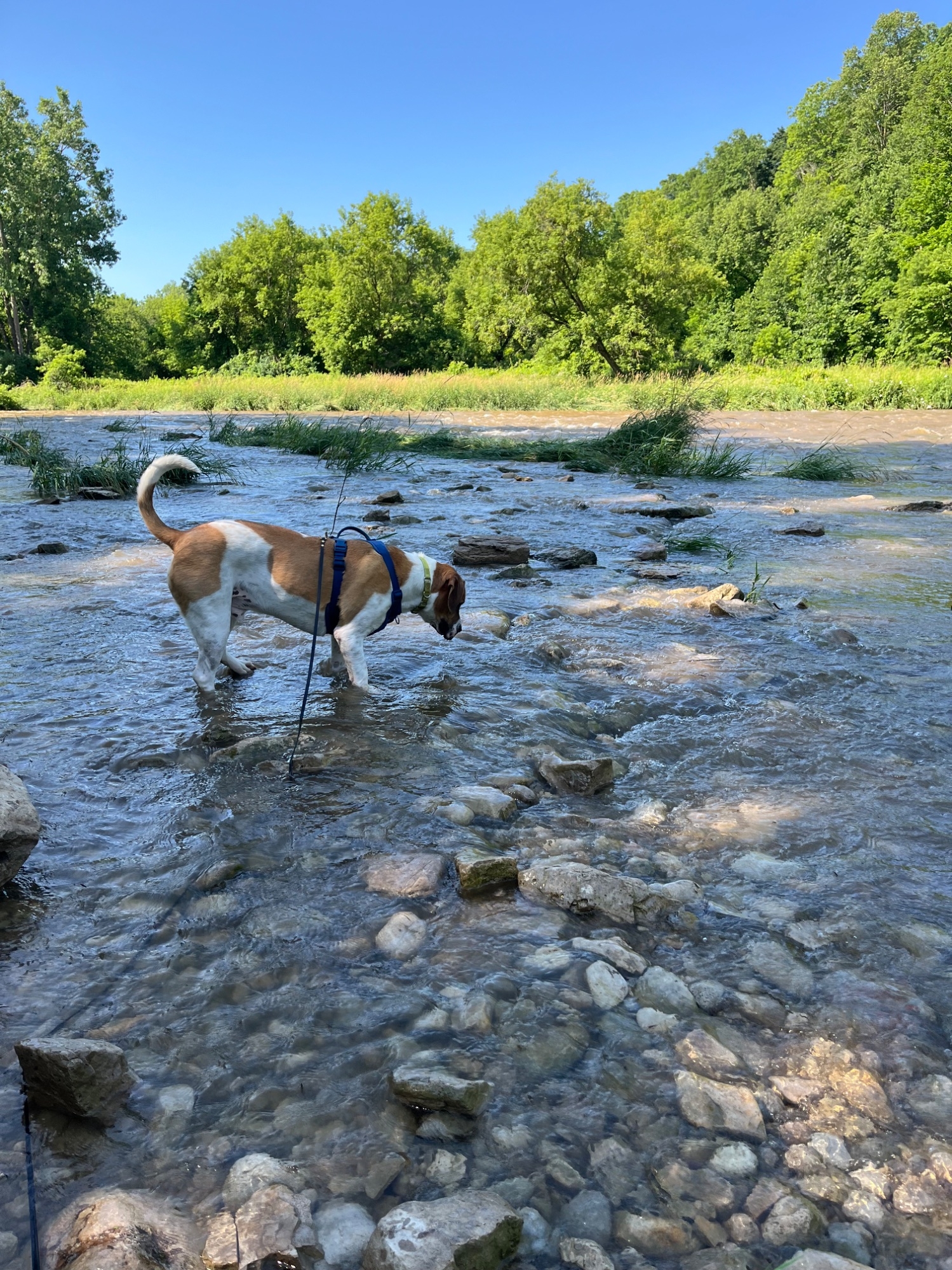 IMG_0728.jpeg