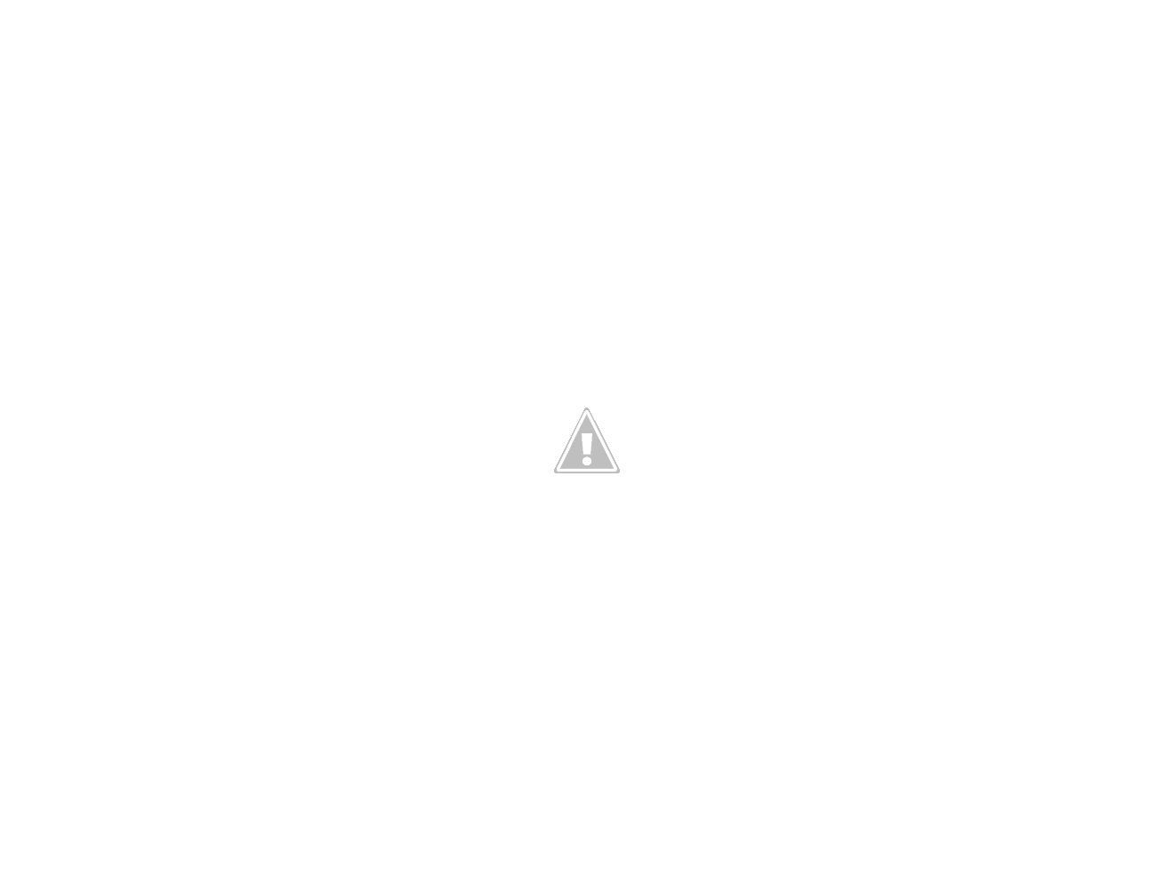 IMG_0729.png