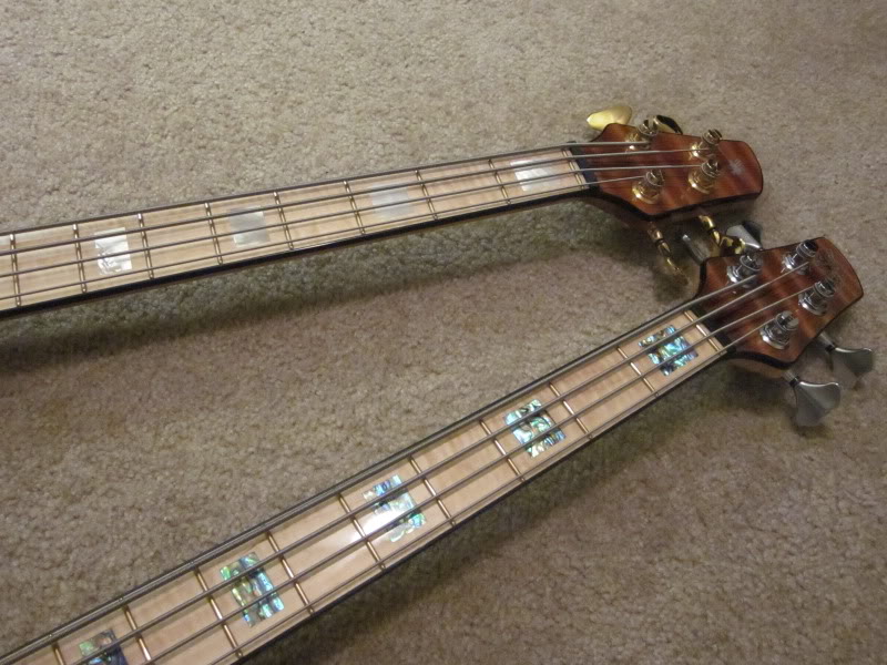 IMG_0795.jpg