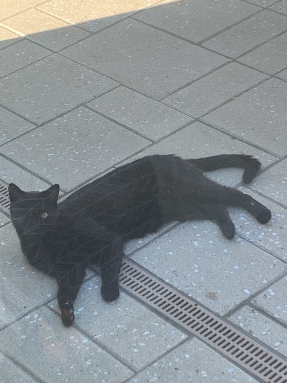 IMG_0796.jpeg