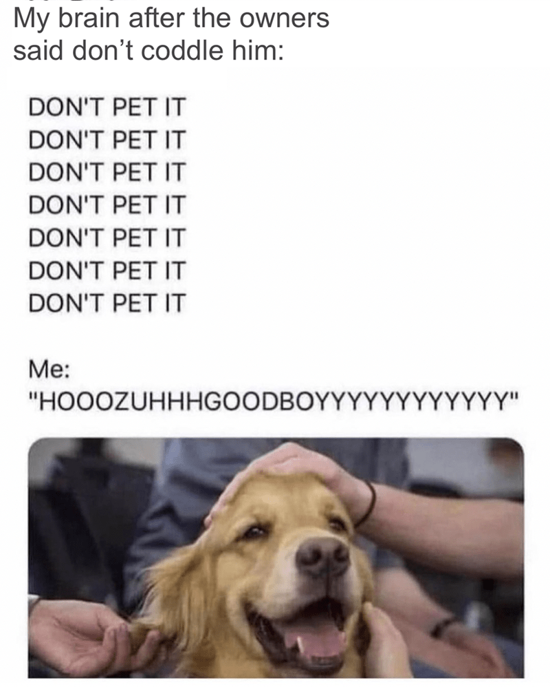 IMG_0800.png