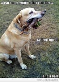IMG_0825.jpeg