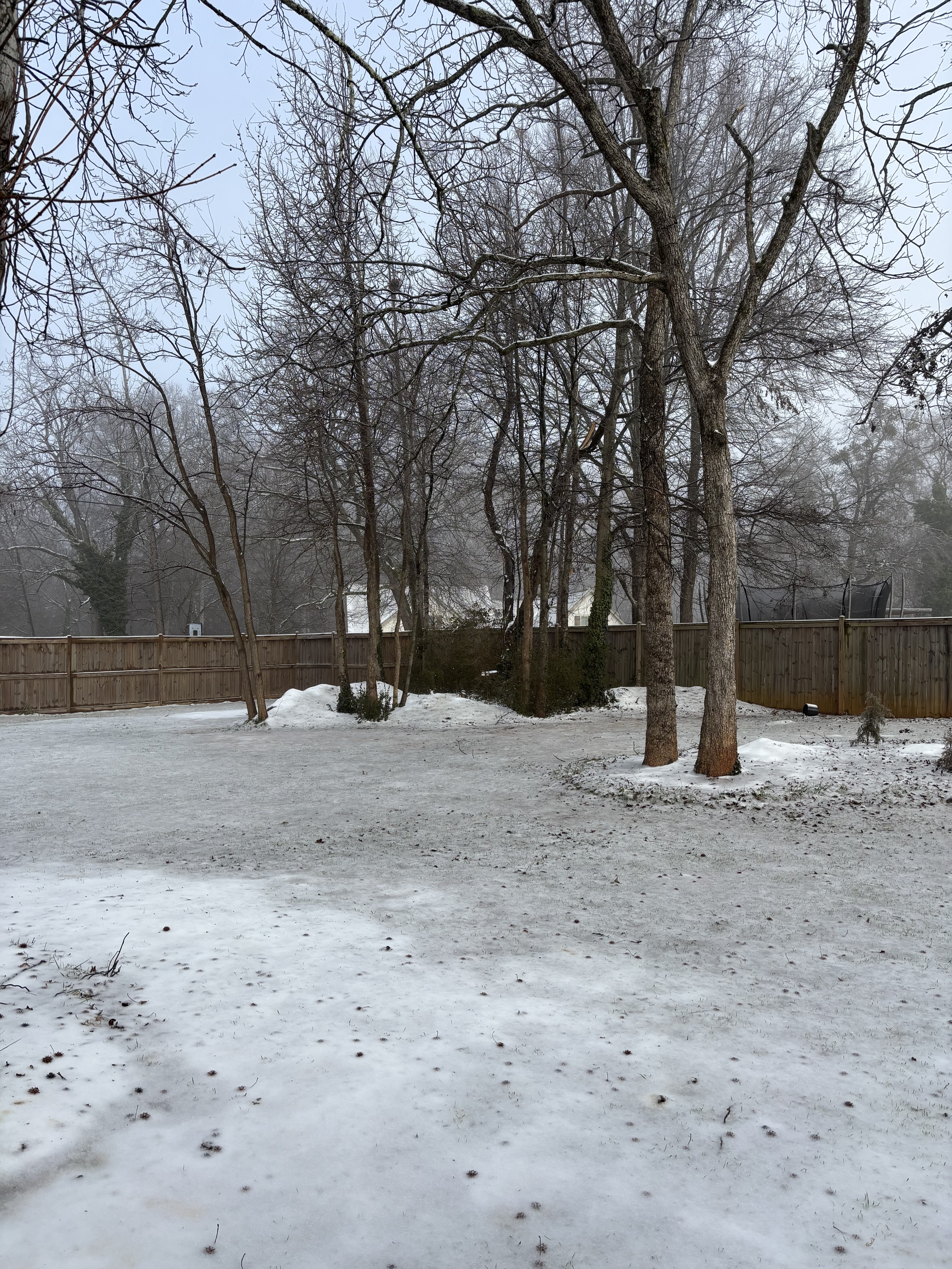 IMG_0837.jpeg