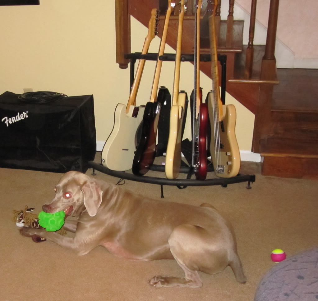 IMG_0837.jpg
