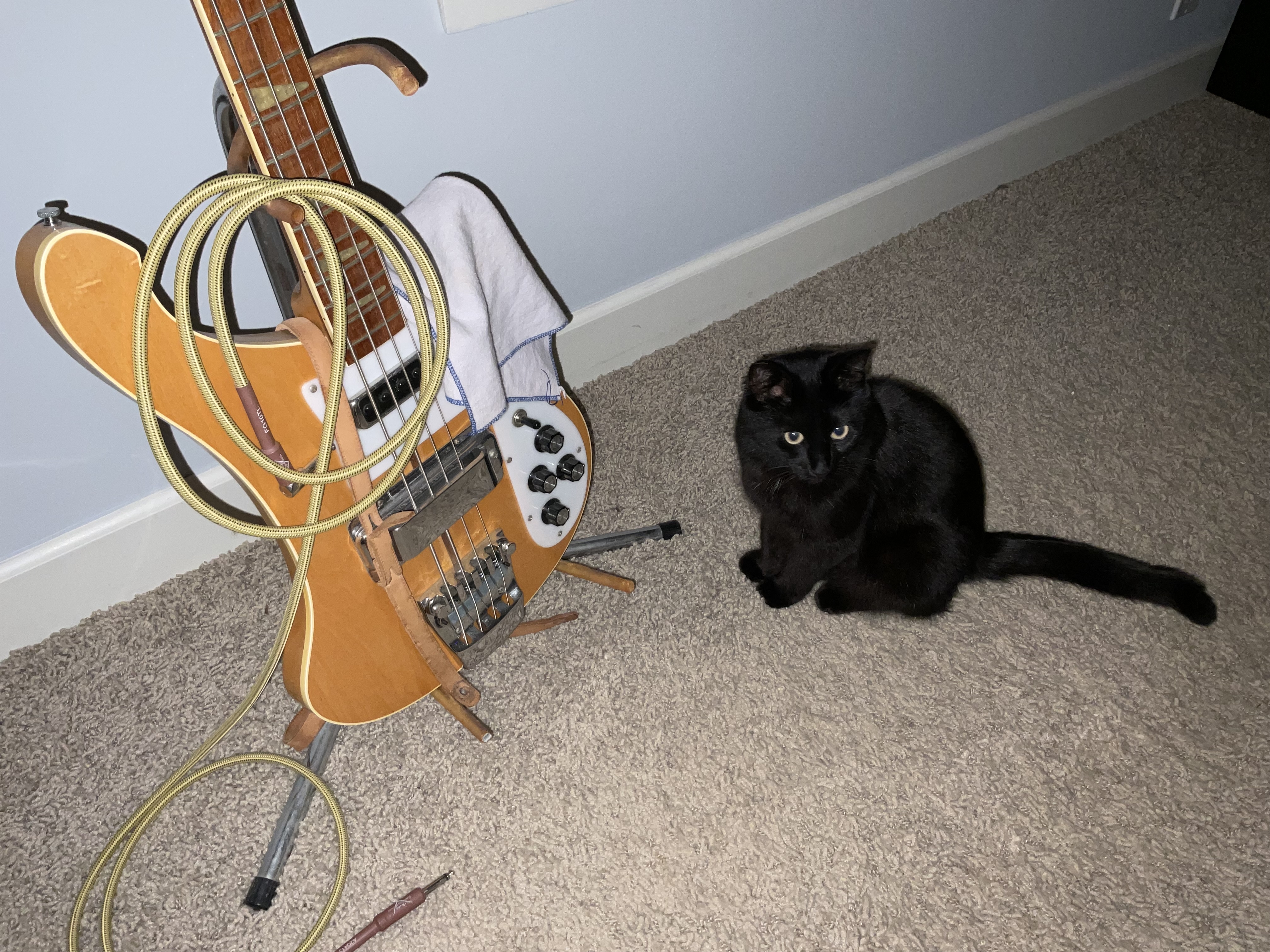 IMG_0868.jpeg