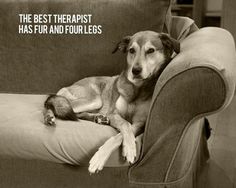 IMG_0913.jpeg