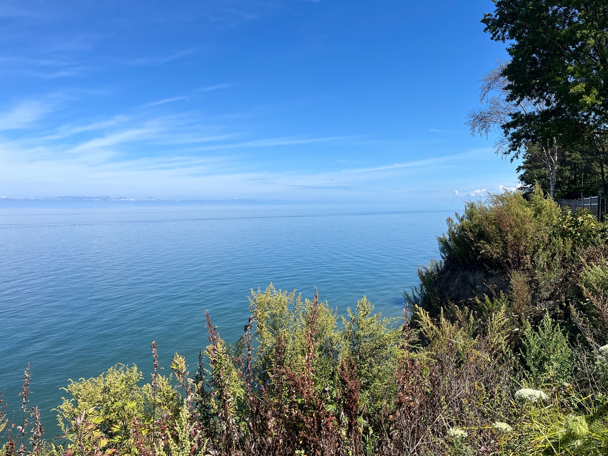 IMG_0975.jpeg