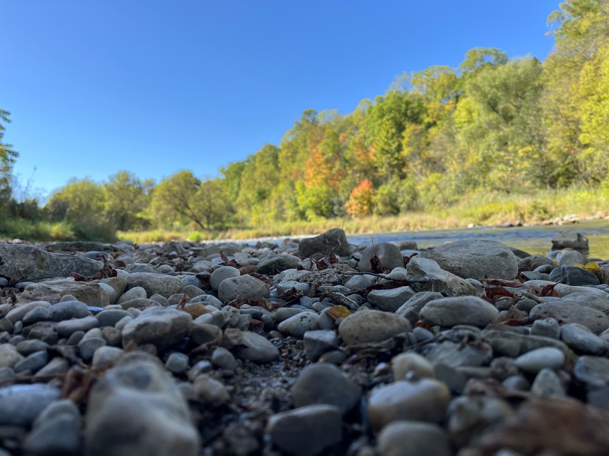 IMG_0998.jpeg