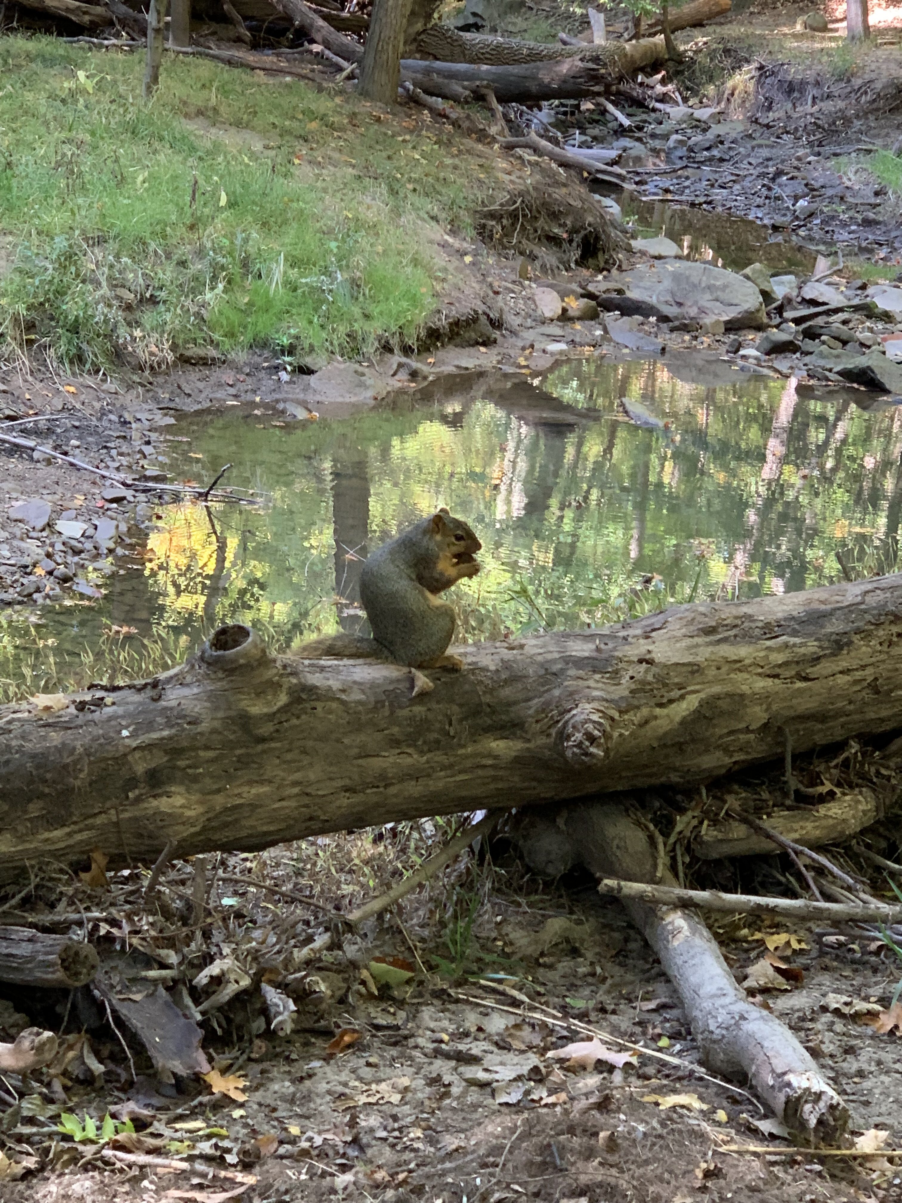IMG_1002.jpeg