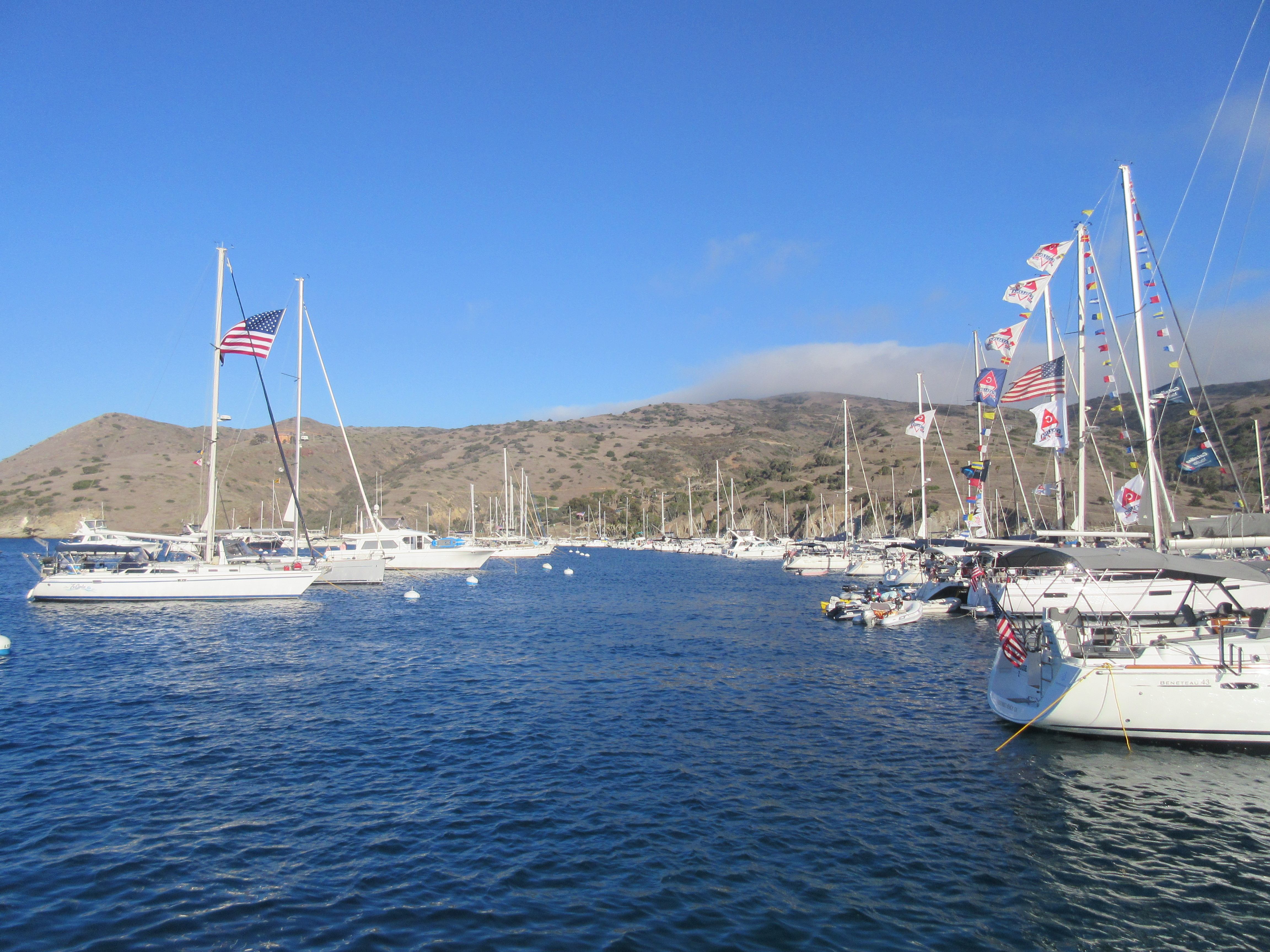 IMG_1006.JPG