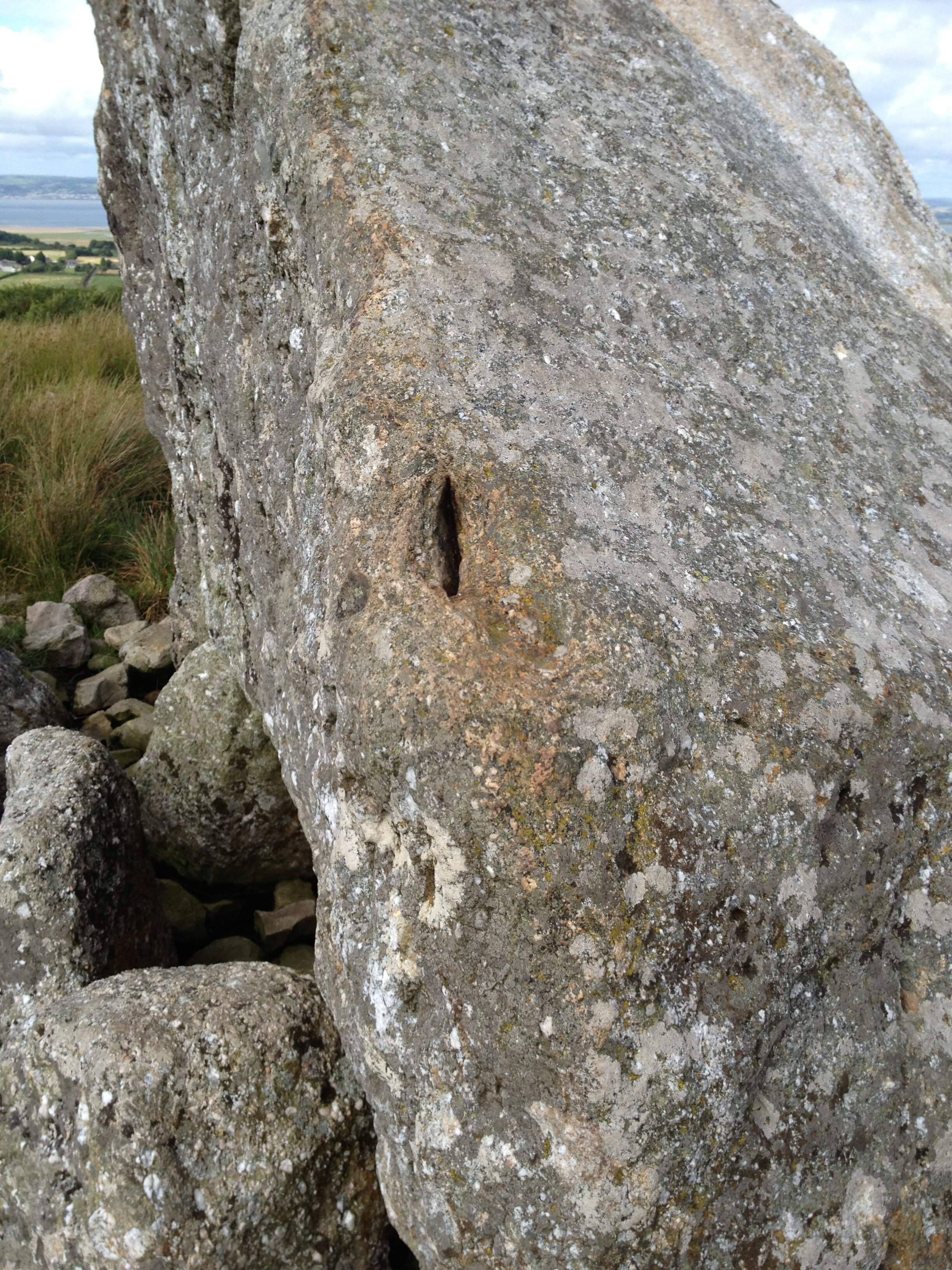 IMG_1025.JPG