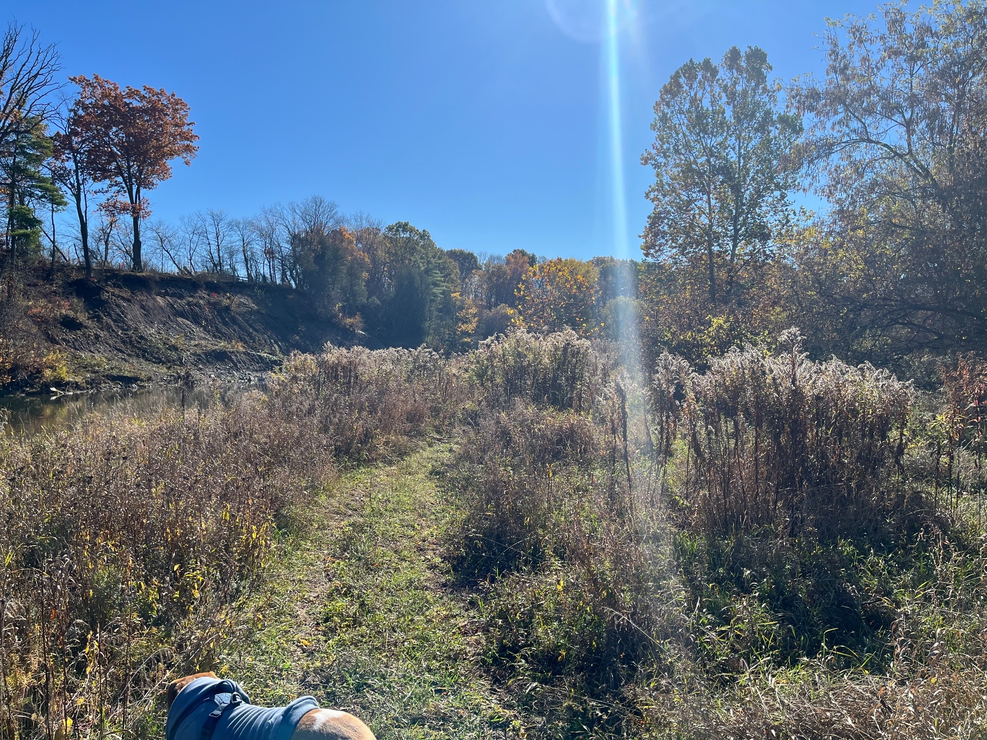 IMG_1062.jpeg