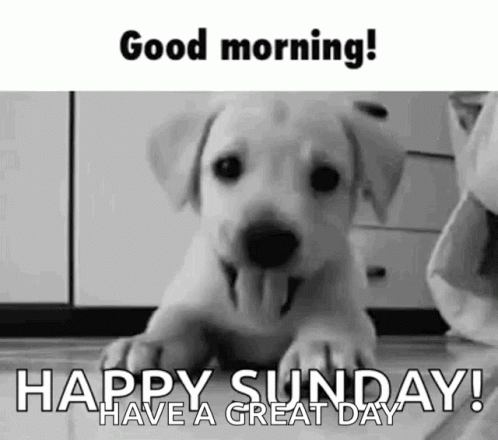 IMG_1072.gif