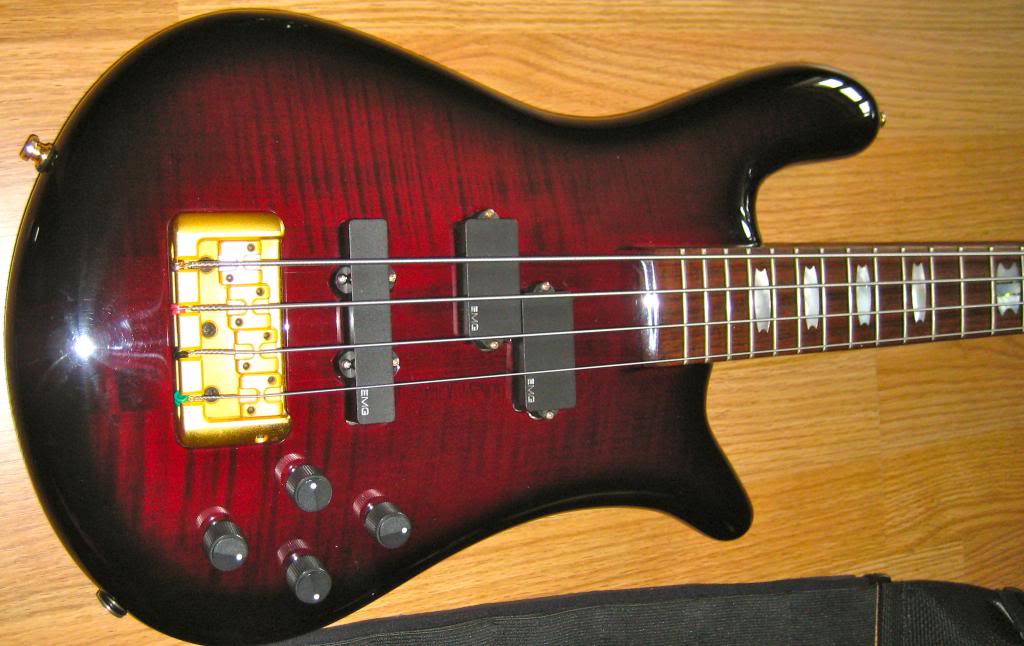 IMG_1075_zps117fce08.jpg