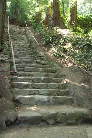 IMG_1078.jpeg