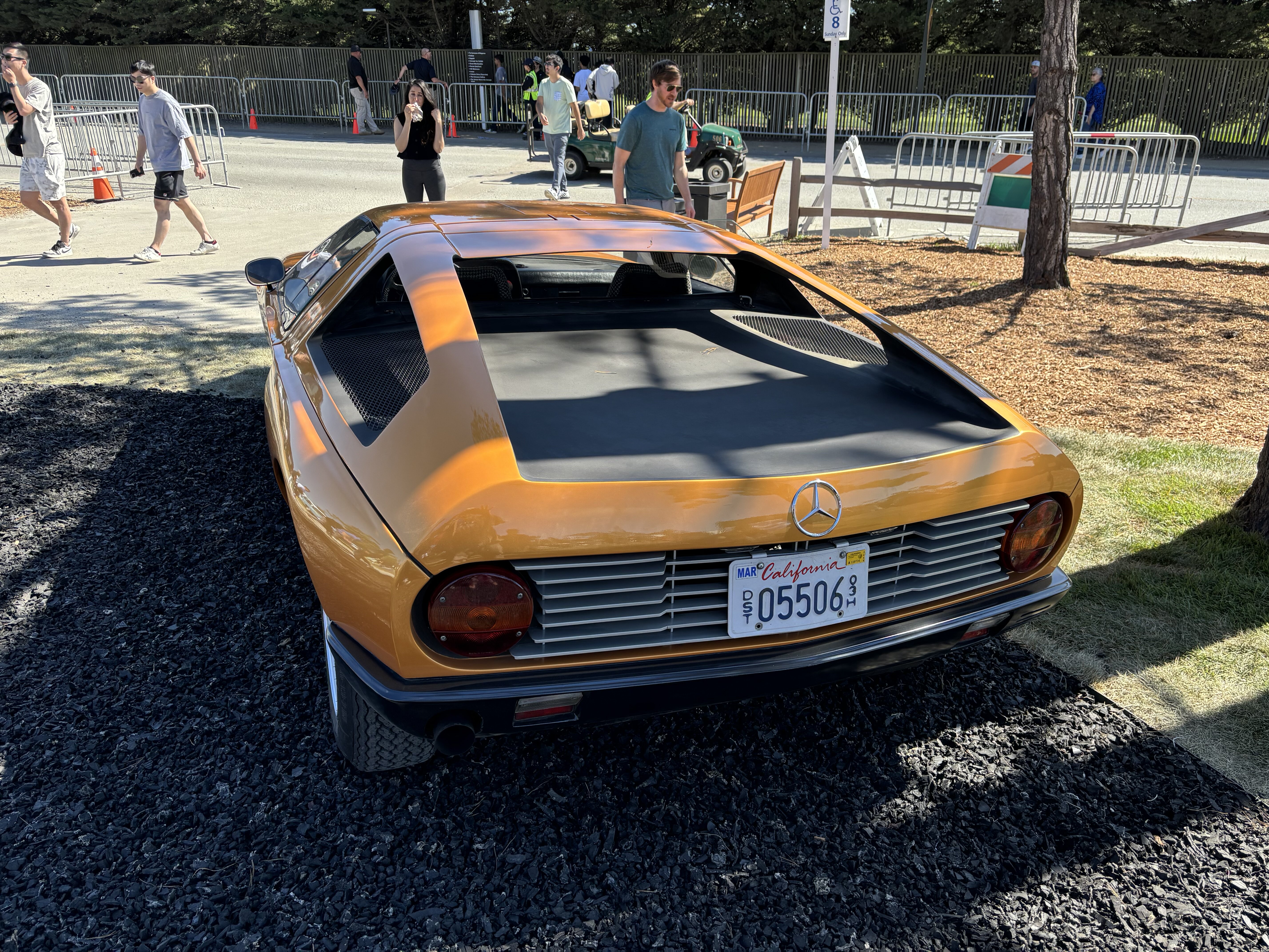 IMG_1082.jpeg