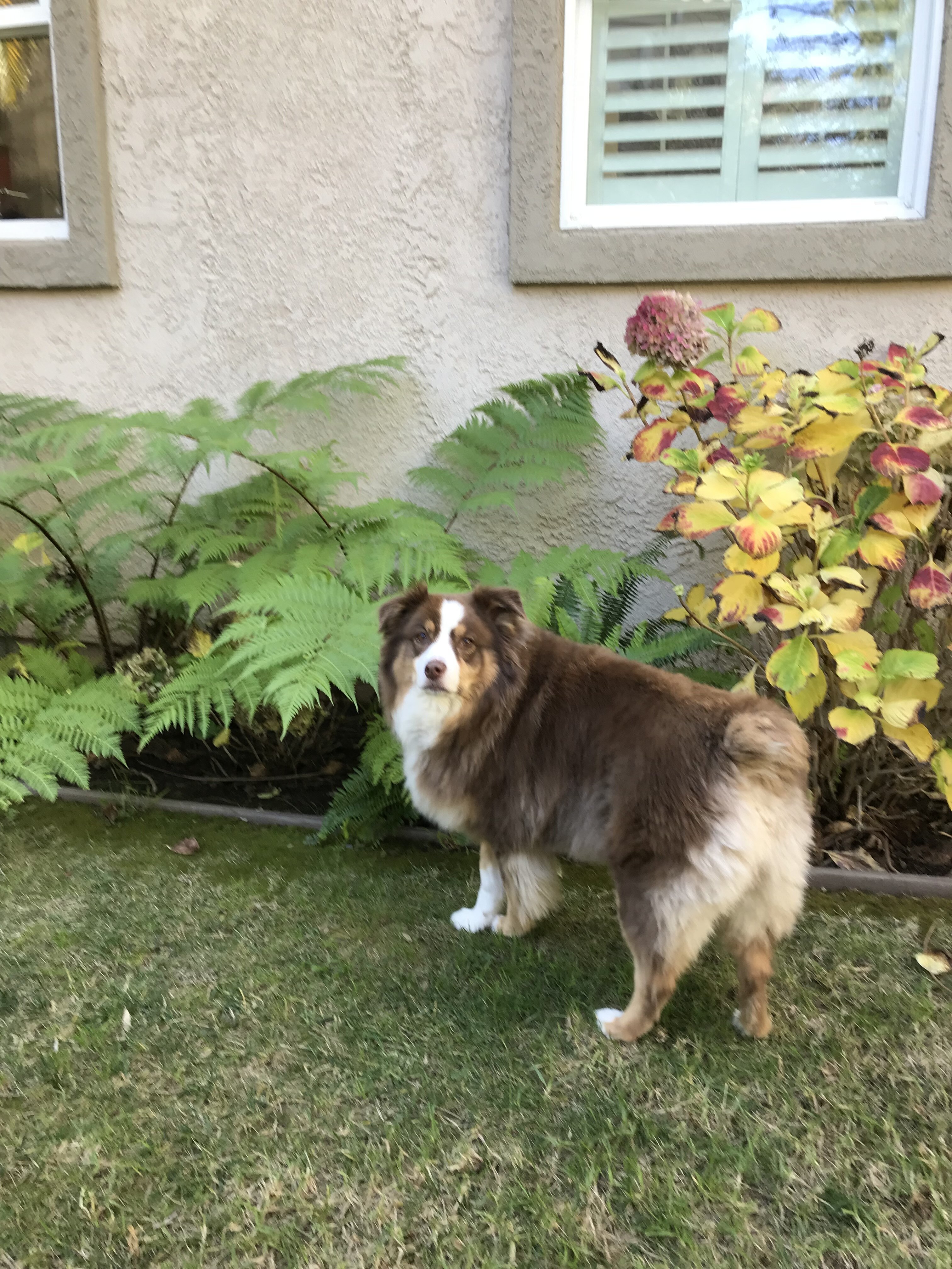 IMG_1104.jpeg