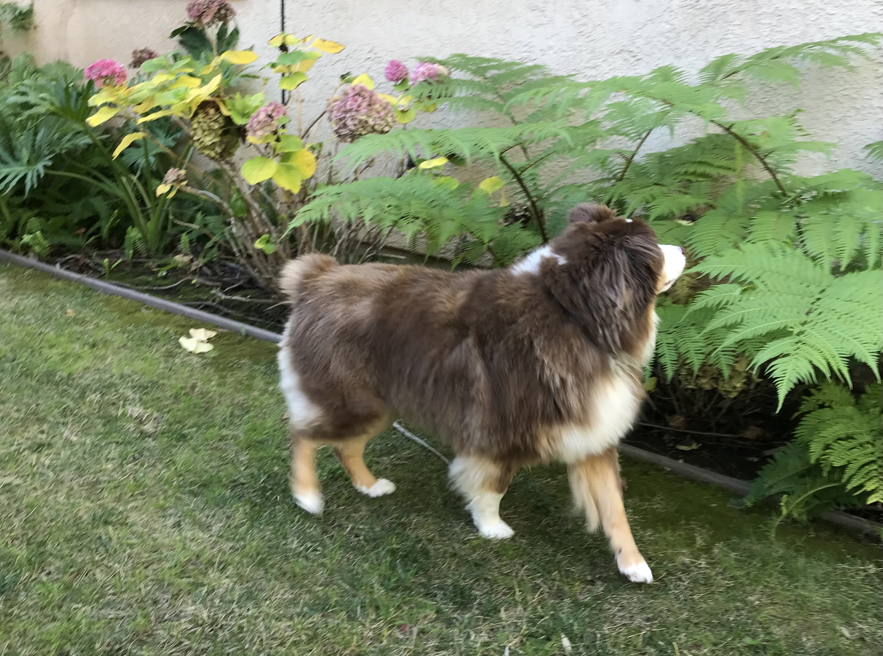IMG_1105.jpeg
